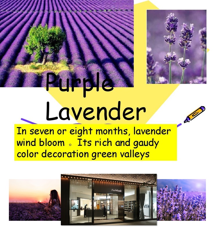 purplelavender沛得官網(wǎng)